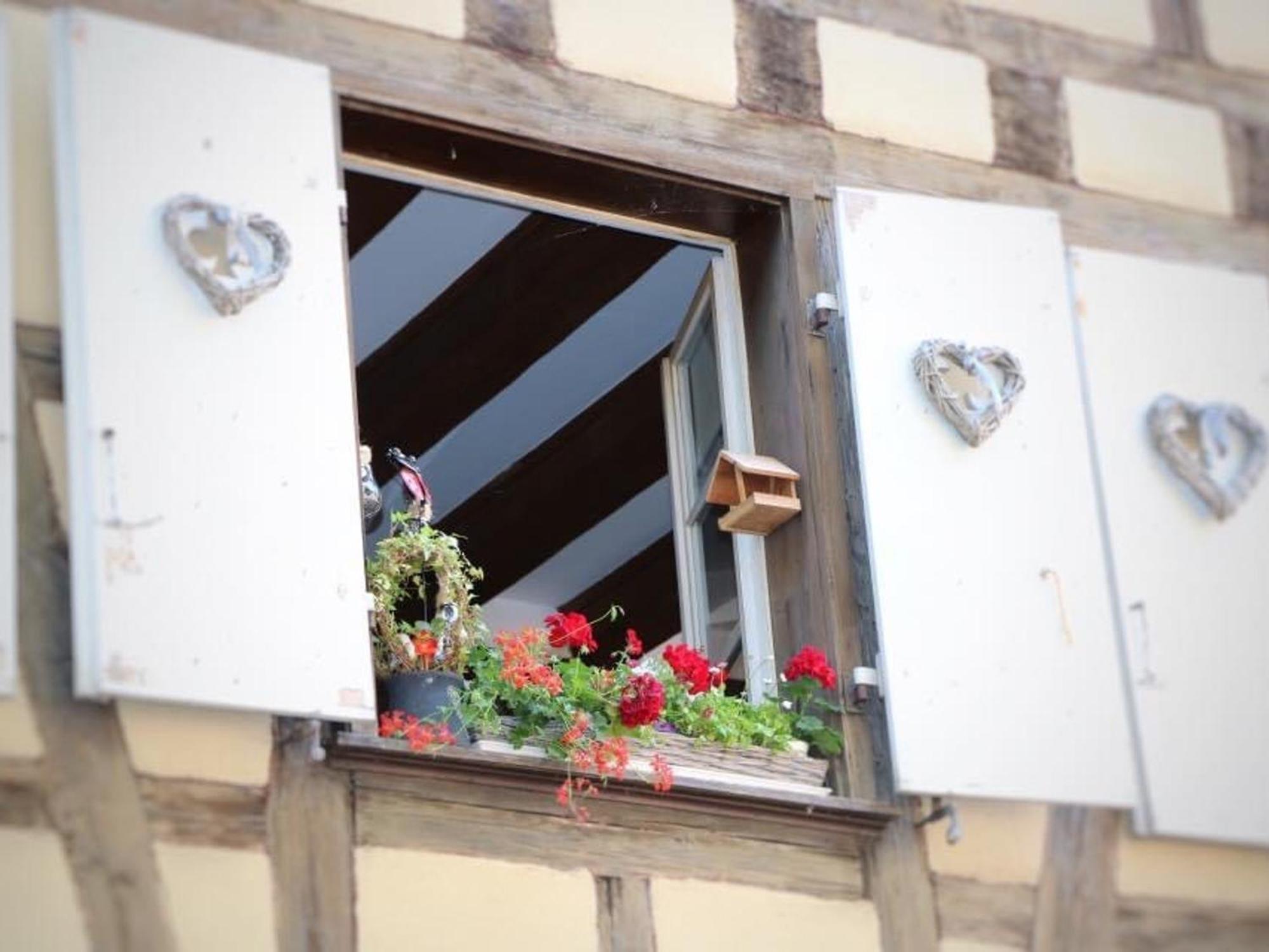 Charmant Appart Avec Garage Et Terrasse Au Coeur De Colmar, Pres De La Route Des Vins D'Alsace - Fr-1-722-6 Exterior foto