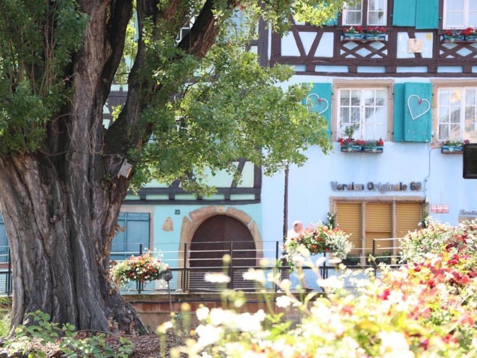 Charmant Appart Avec Garage Et Terrasse Au Coeur De Colmar, Pres De La Route Des Vins D'Alsace - Fr-1-722-6 Exterior foto